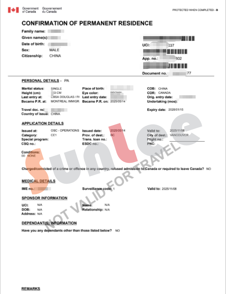 永久居民获批案例